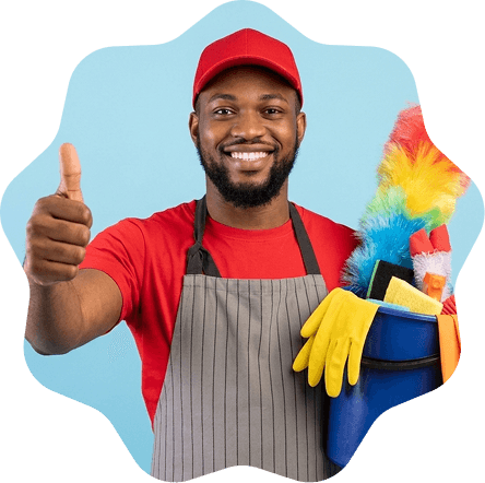 Professional cleaner