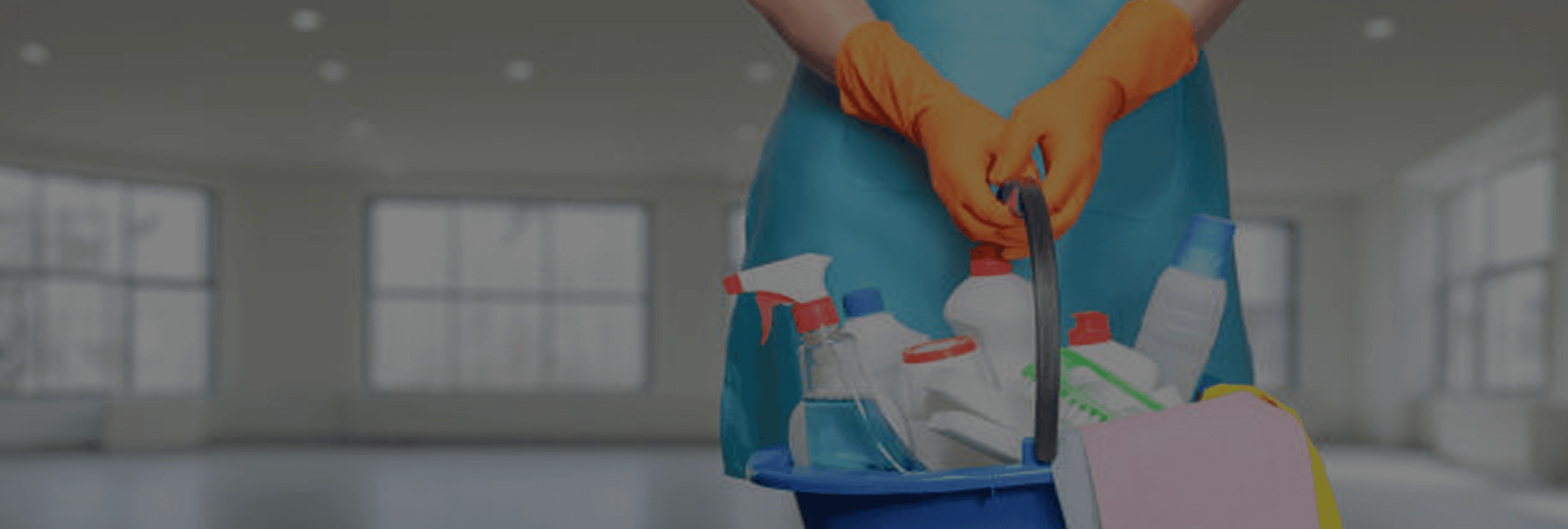 Cleaning supplies